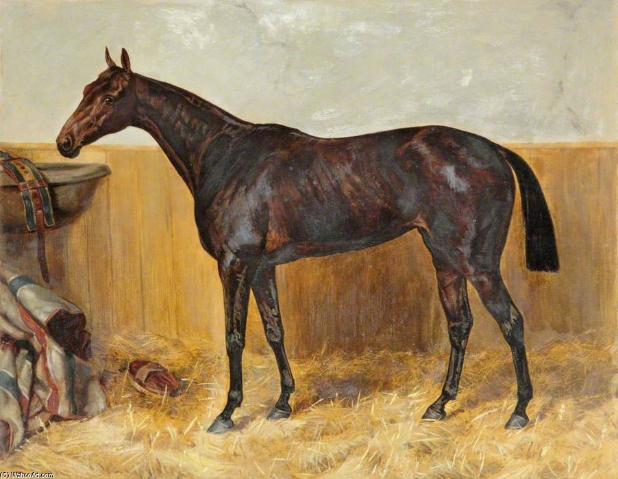 Dorothy - — Frank Paton