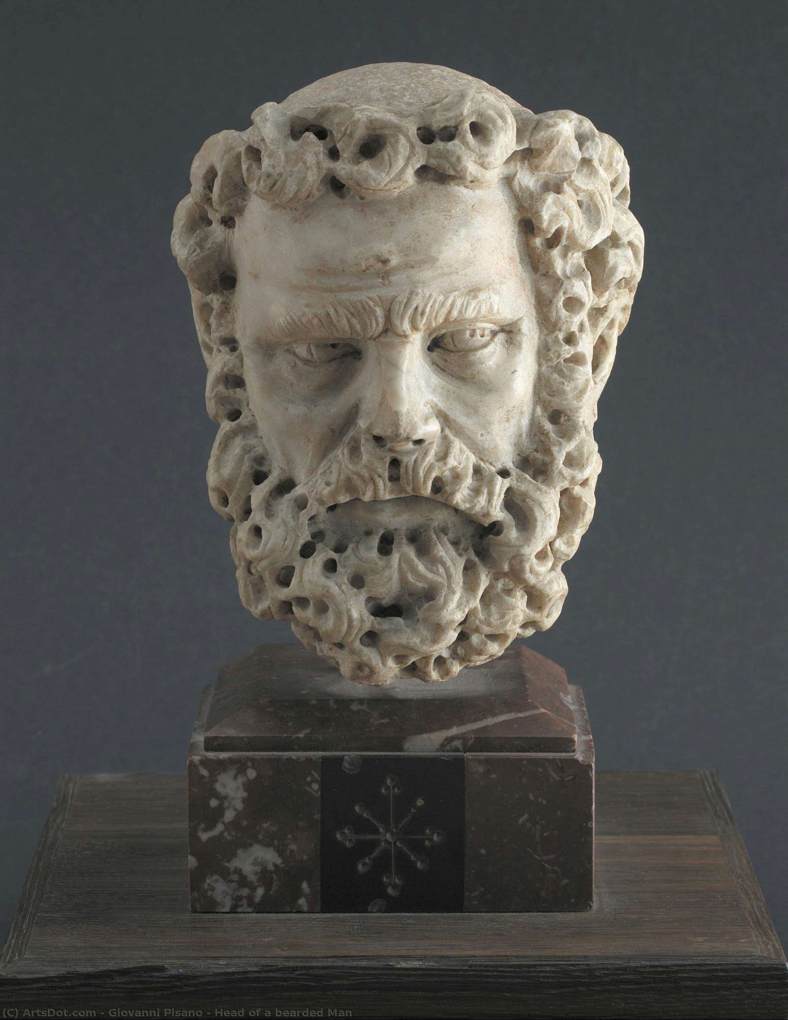 Head Of A Bearded Man — Đovani Pizan