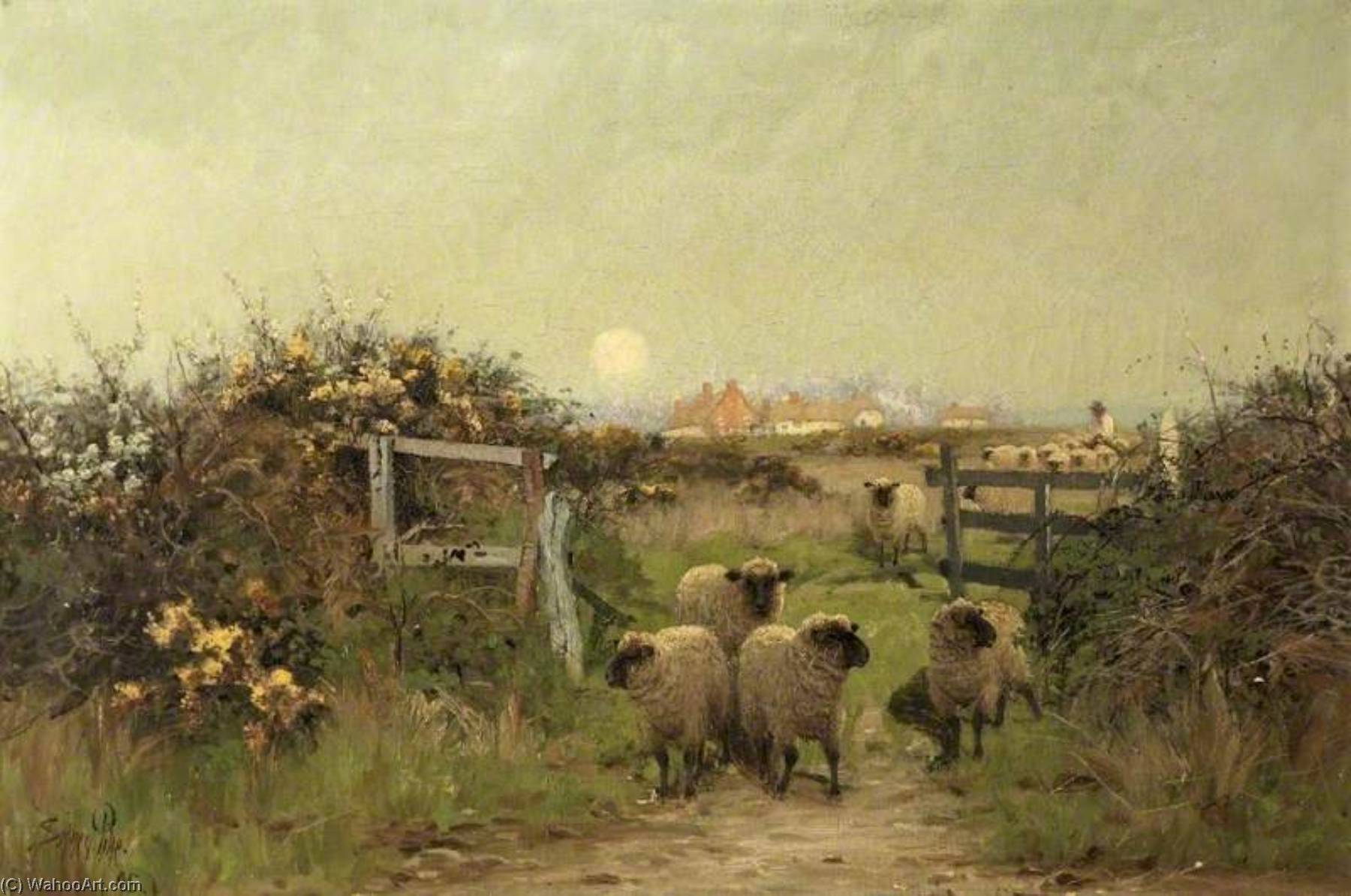 Sheep In A Meadow — Sidney Pike
