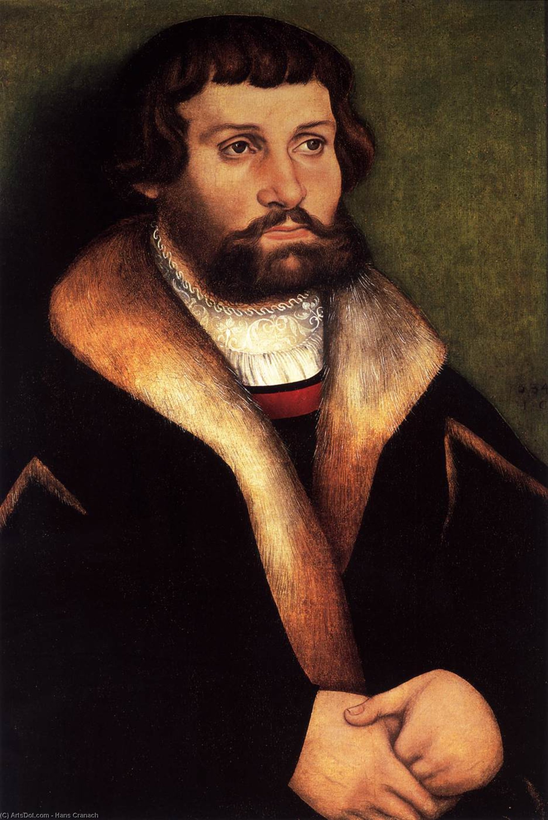 Portrait Of A Bearded Young Man — Hans Cranach