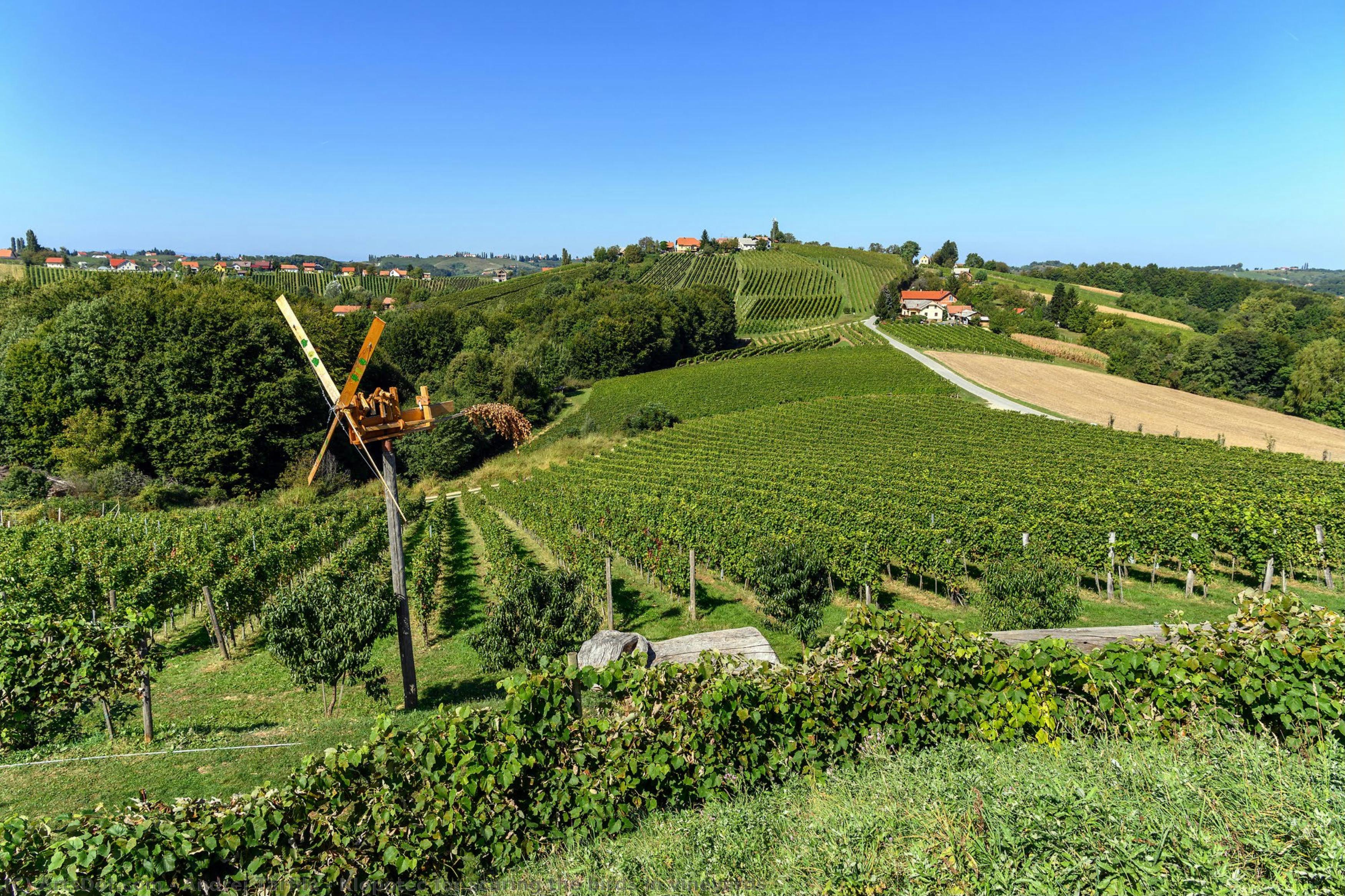 Klopotec For Scaring The Birds In Vineyards — Andrej Tarfila