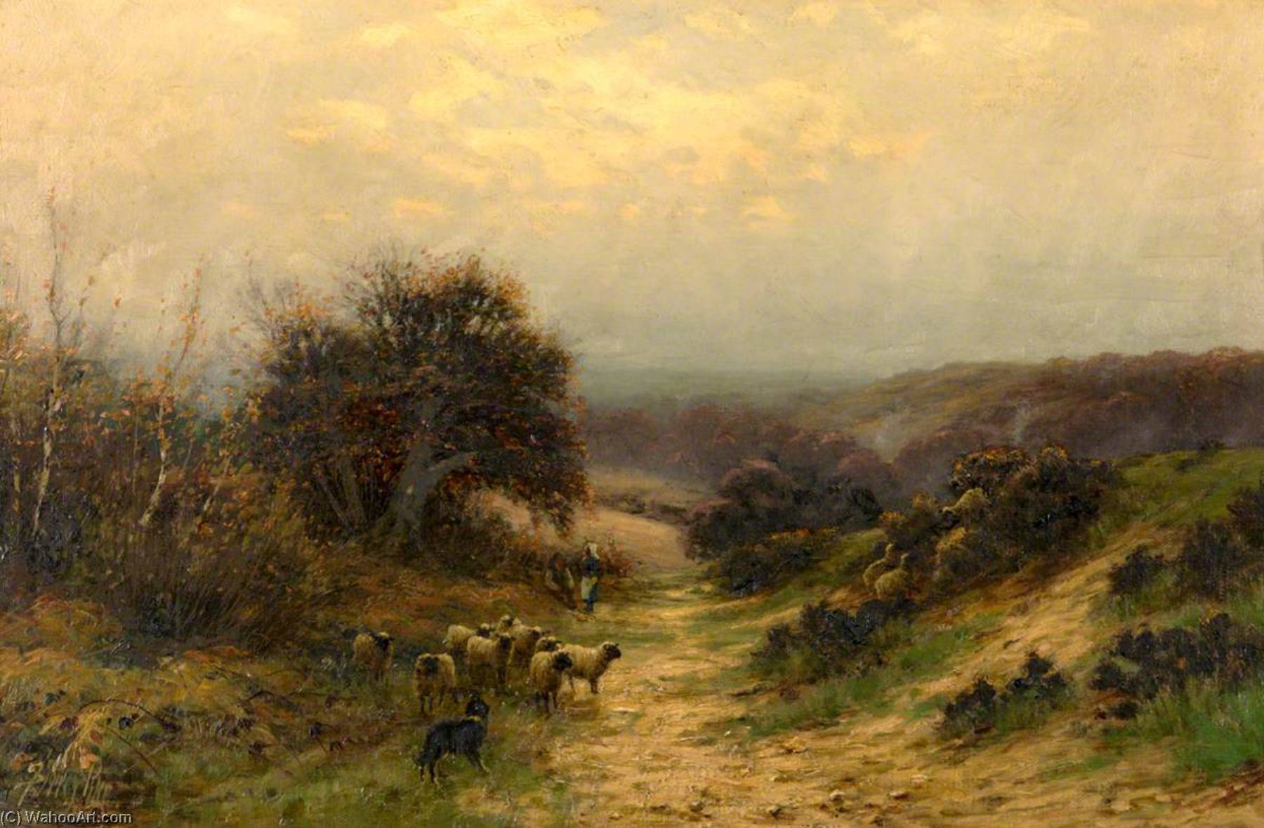 Sheep — Sidney Pike