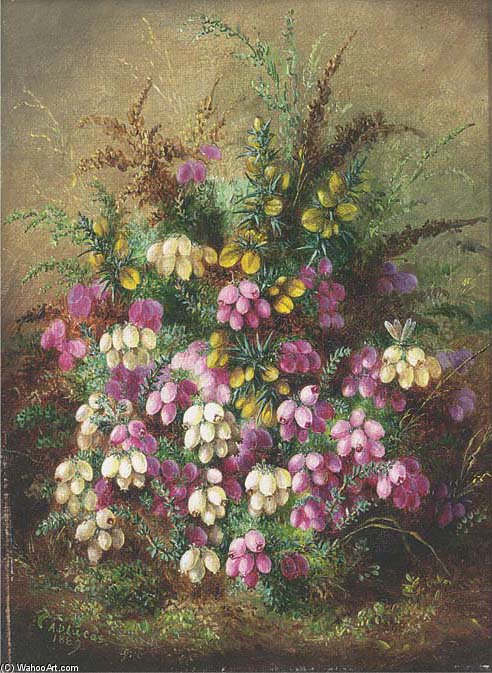 Wild Flowers - — Albreht Direr
