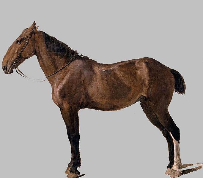 Portrait Of A Horse — Jacques Laurent Agasse