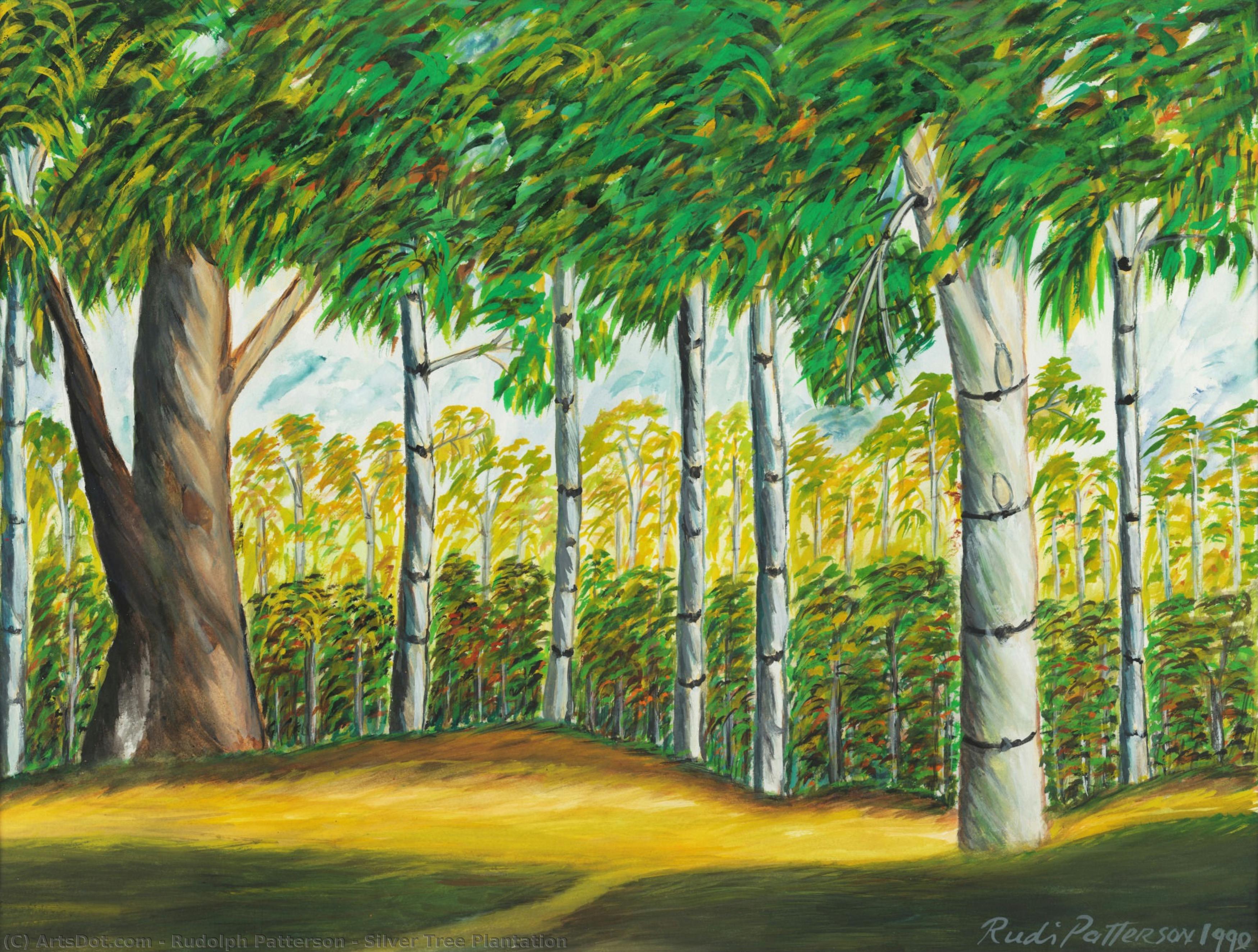 Silver Tree Plantation — Rudolph Patterson