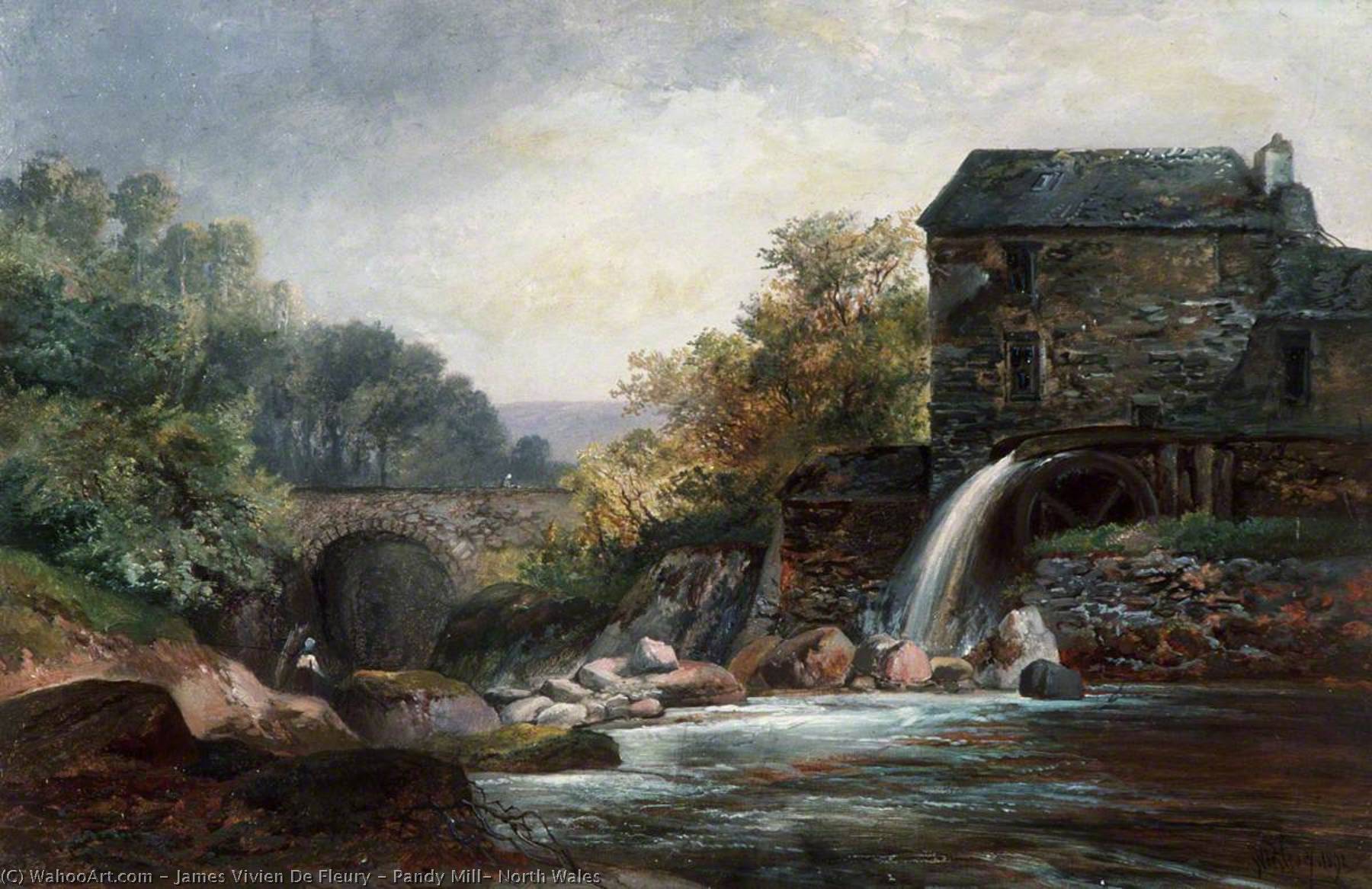 Pandy Mill, North Wales — James Vivien De Fleury