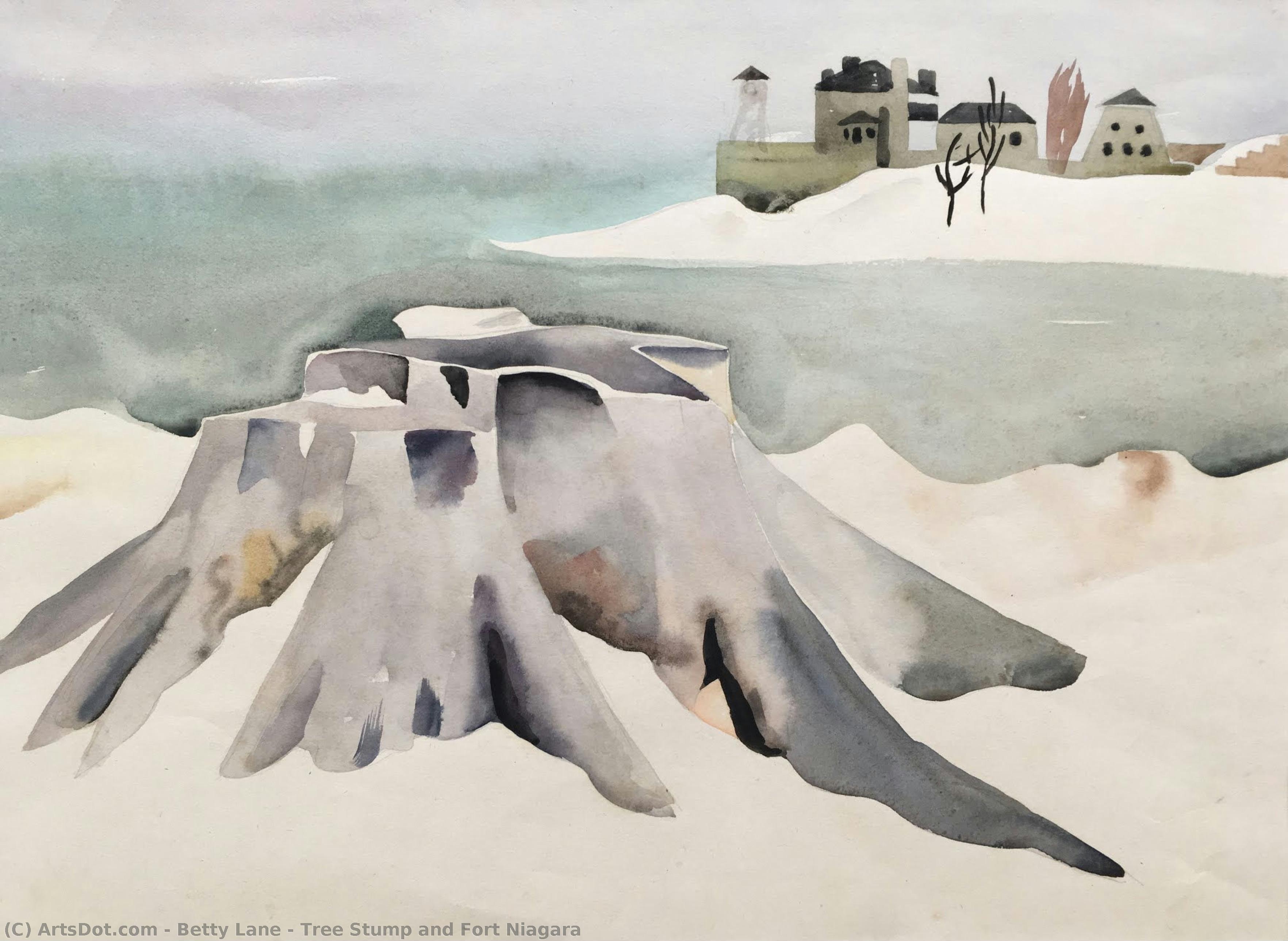 Tree Stump And Fort Niagara — Betty Lane