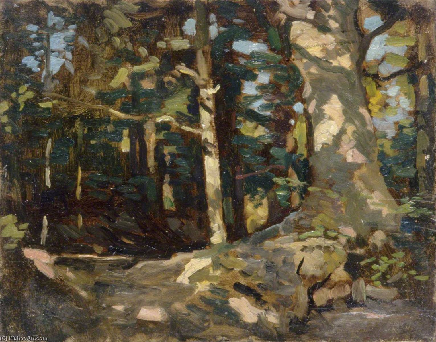 Forest Scene — Gunning King