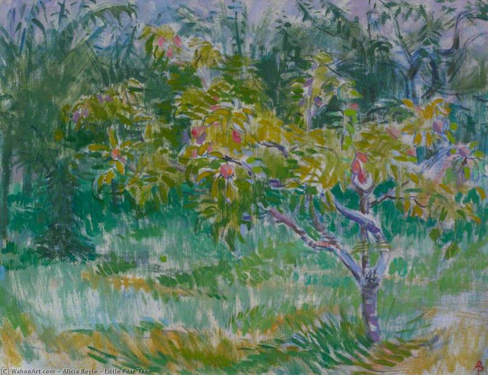 Little Pear Tree — Alicia Boyle