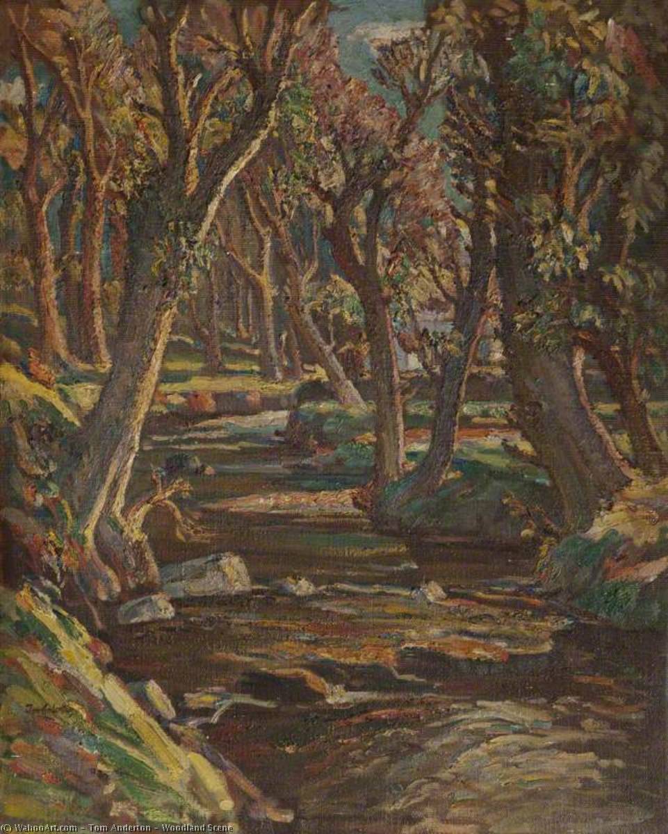Woodland Scene — Tom Anderton