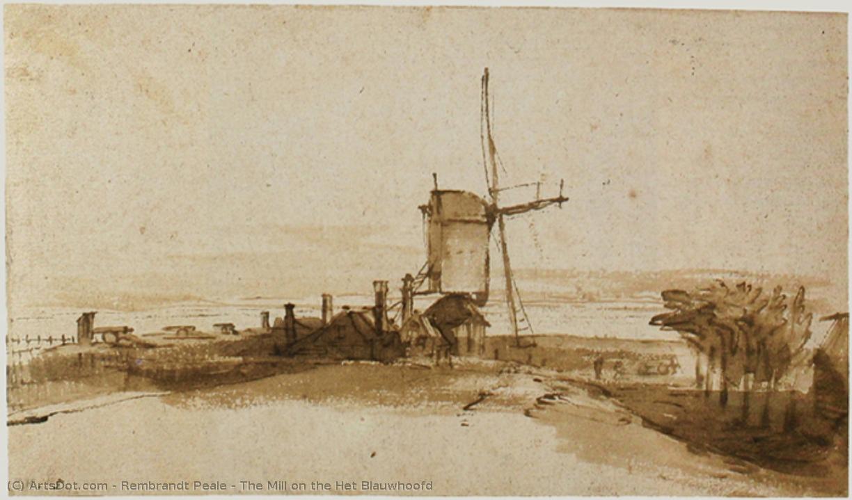 The Mill On The Het Blauwhoofd — Rembrandt Peale