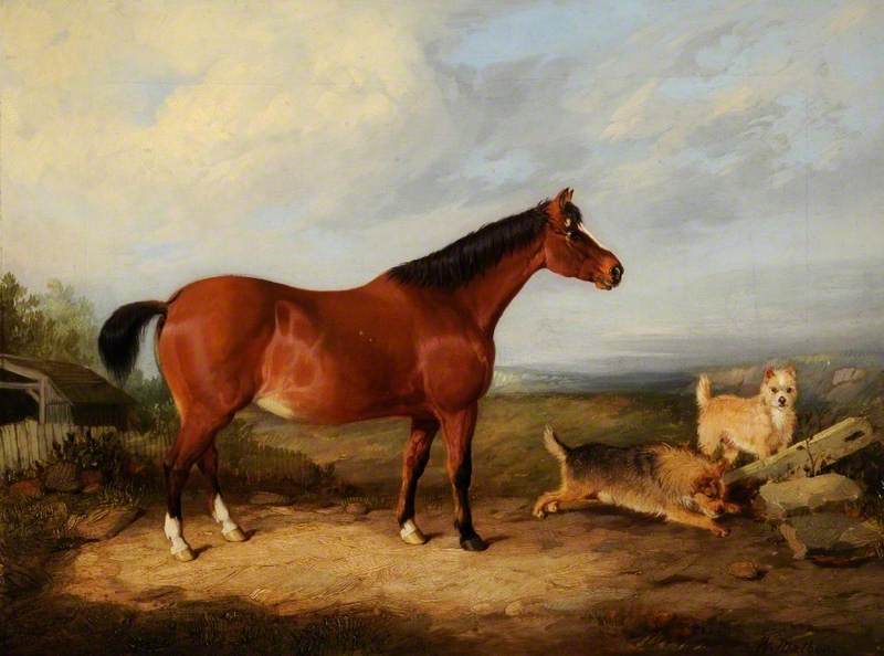 'sally' — William Malbon