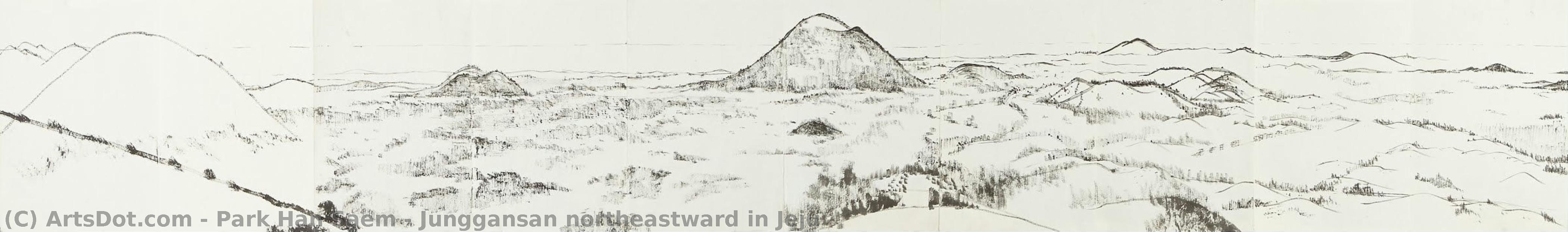 Junggansan Northeastward In Jeju — Park Han Saem