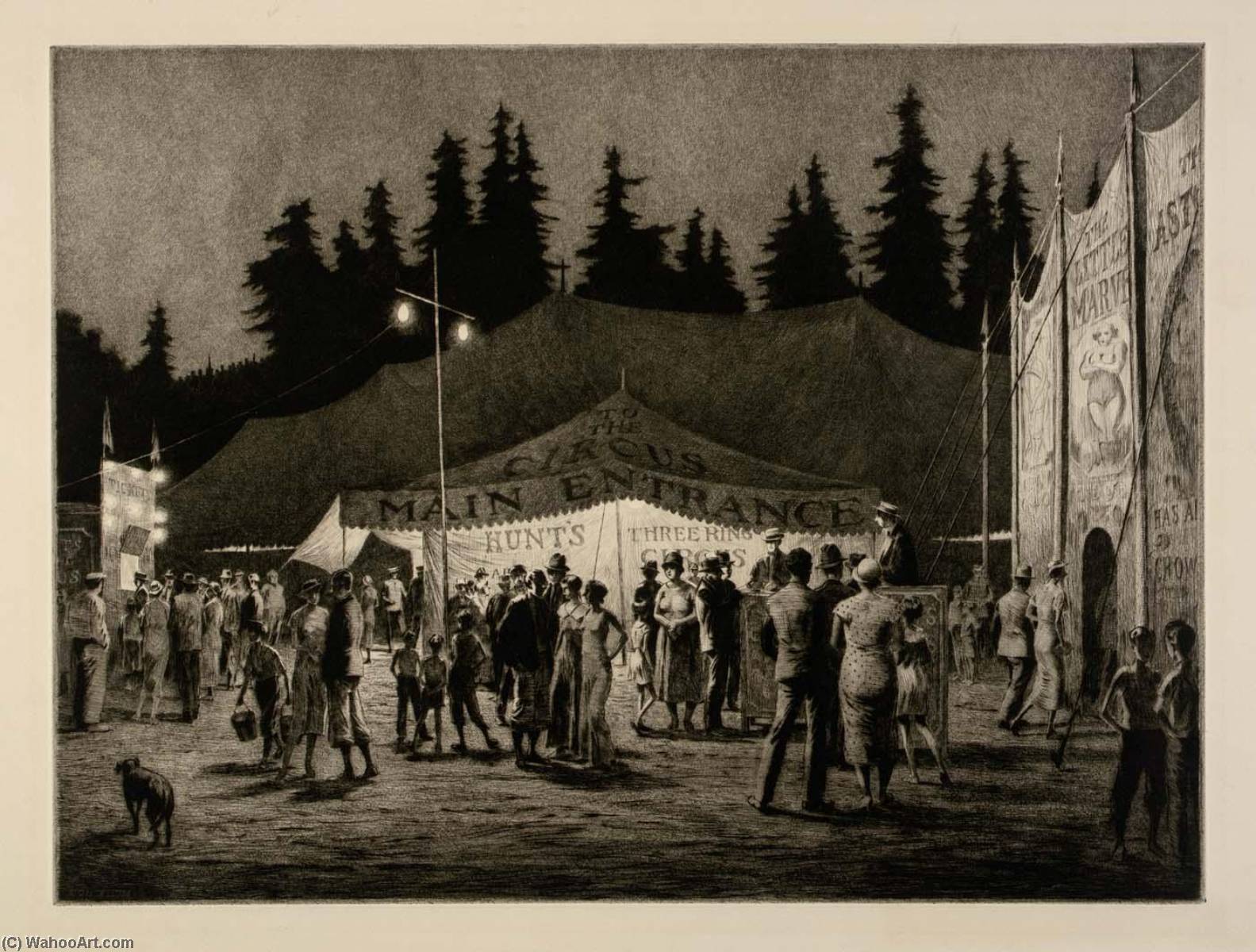 Circus Night — Martin Lewis