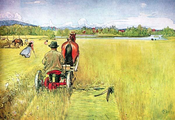 Sommer — Карл Ларссон