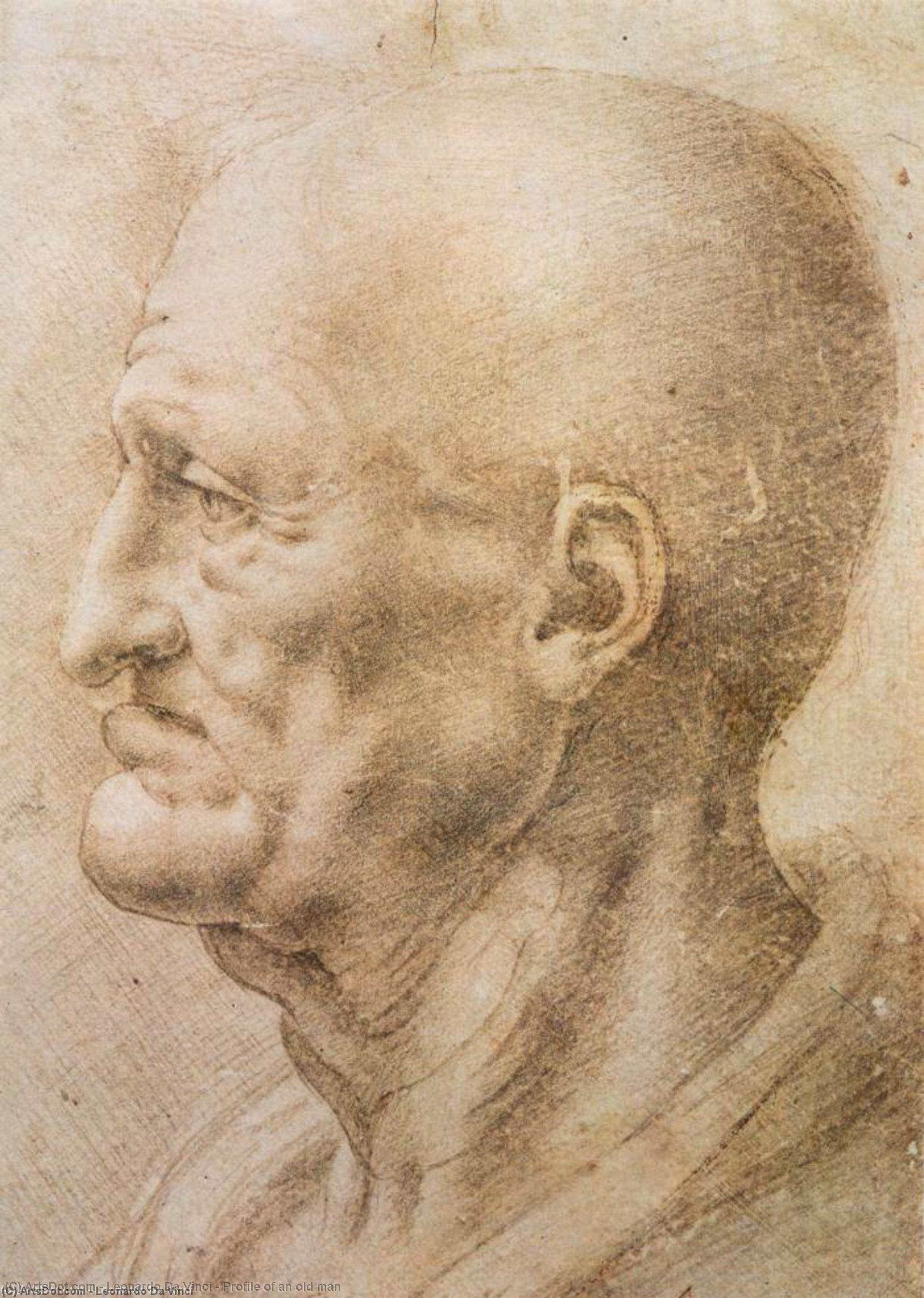 Profile Of An Old Man — Леонардо Да Винчи
