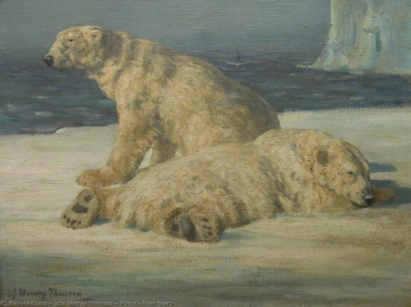 Winter, Polar Bears — John Murray Thomson
