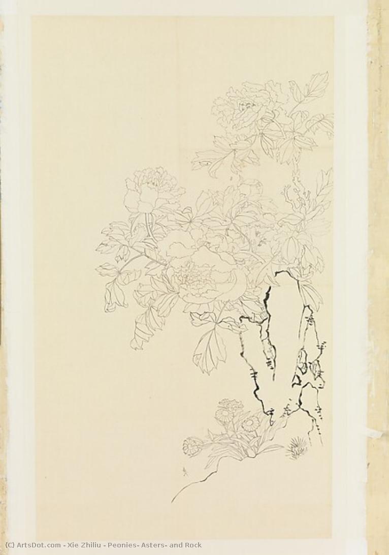 Peonies, Asters, And Rock — Xie Zhiliu