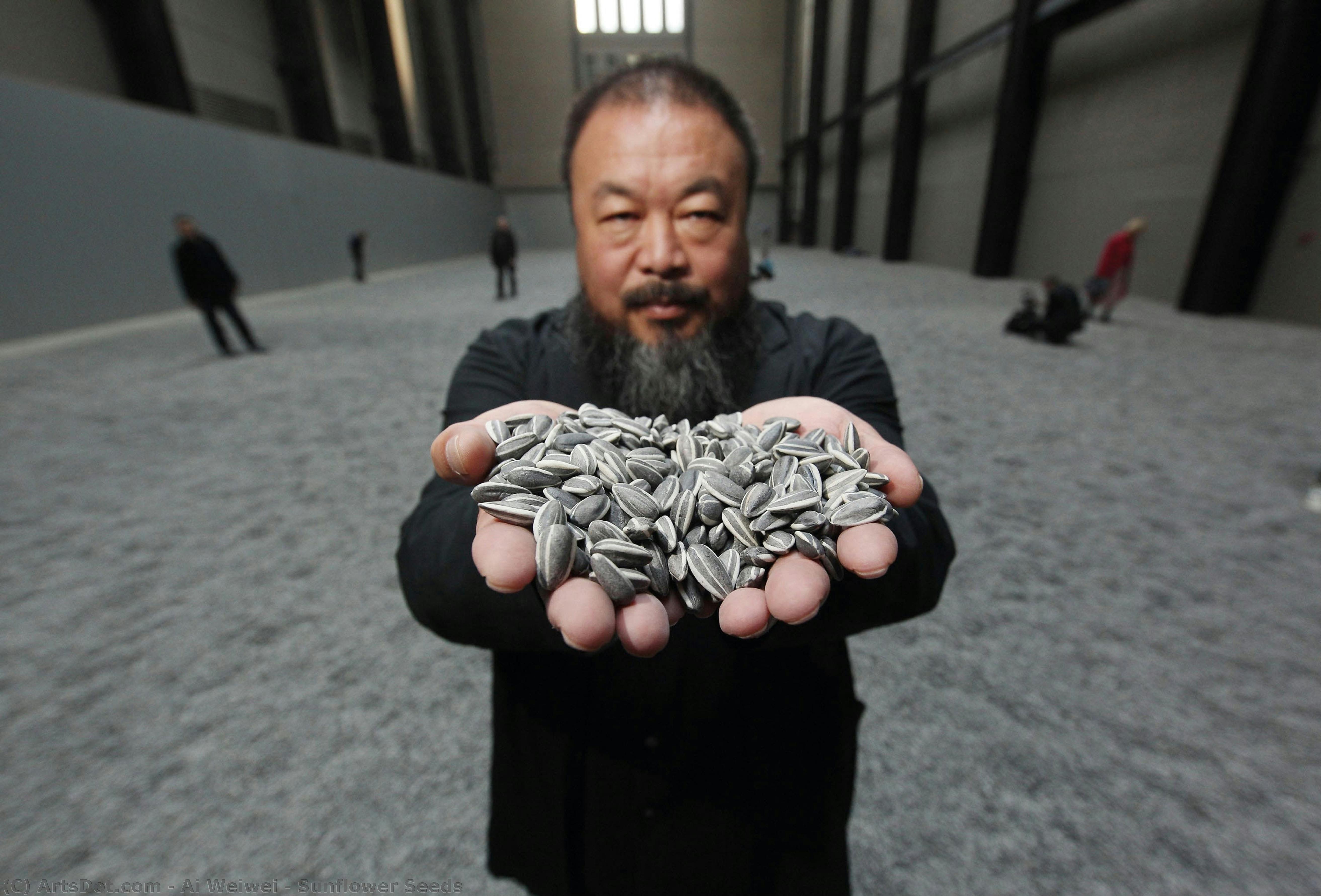 Sunflower Seeds — Ai Weiwei