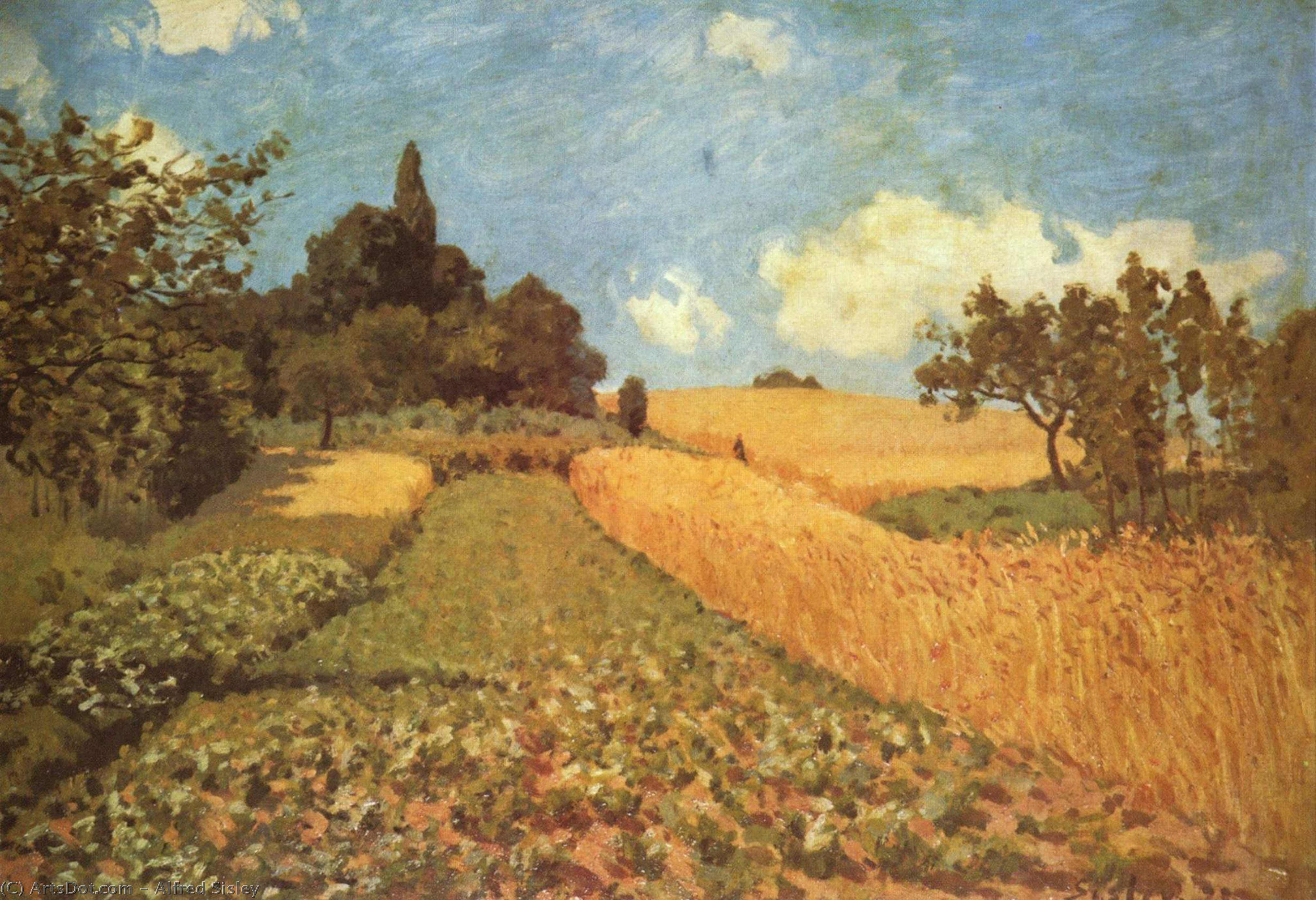 Cornfield — Alfrēd Sislē