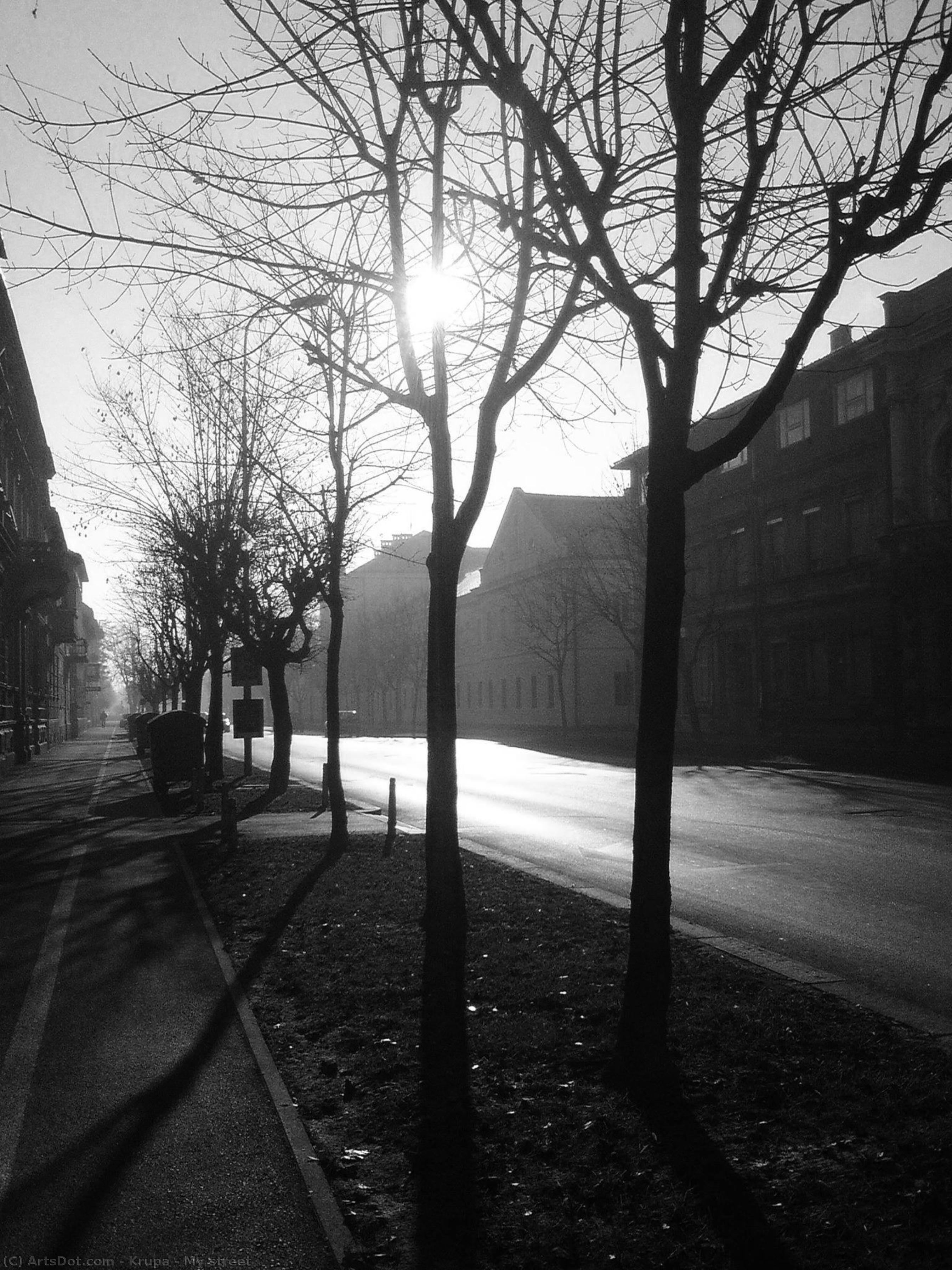 My Street — Alfred Freddy Krupa