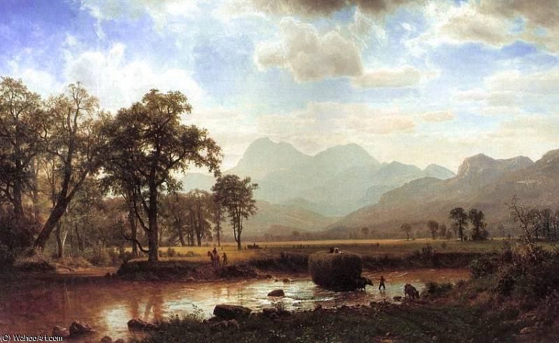 Untitled (708) — Albert Bierstadt