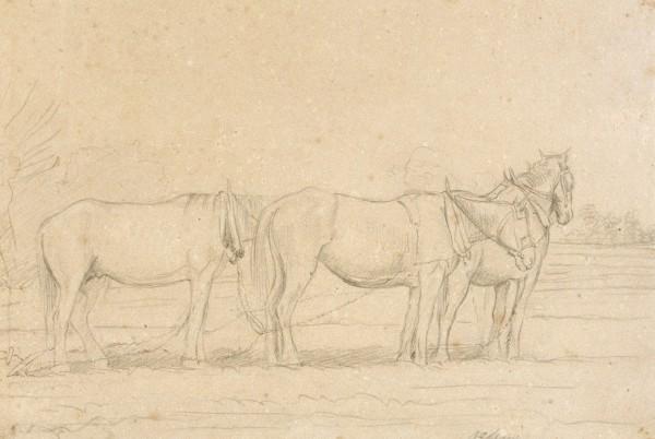 Three Horses Harnessed To A Plough 1 — John Frederick Lewis