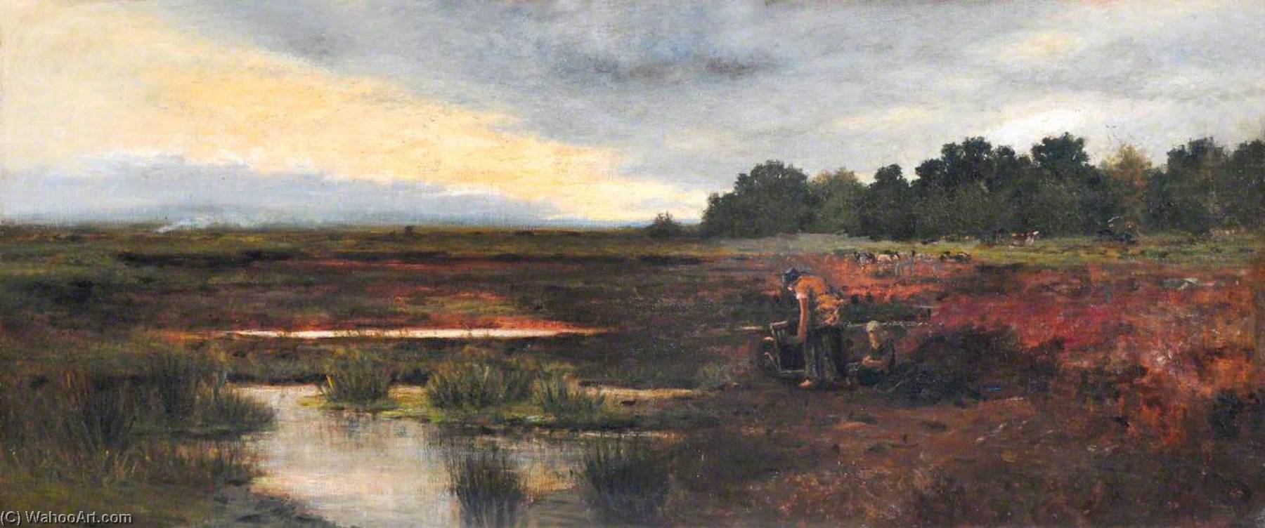 Peat Moss — John Leslie Thomson