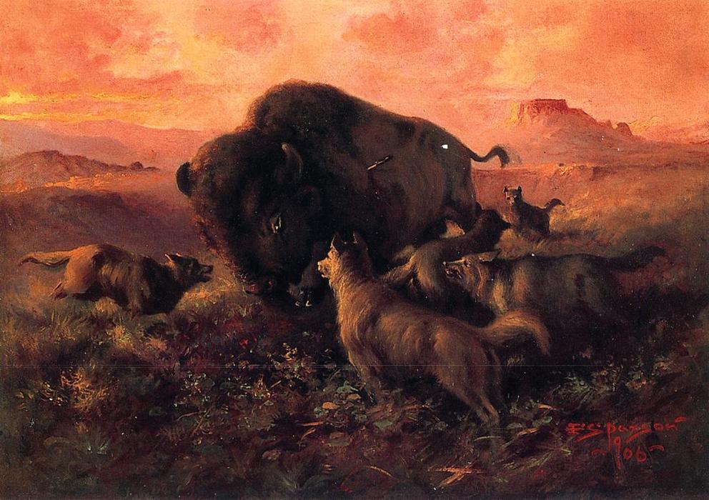The Wounded Buffalo — Frank Tenney Johnson