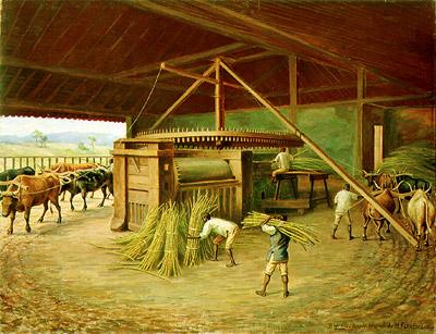 Português Moagem Da Cana Na Fazenda Cacheira, Em Campinas English Sugarcane Crushing In Cacheira Farm In Campinas — Benedito Calixto