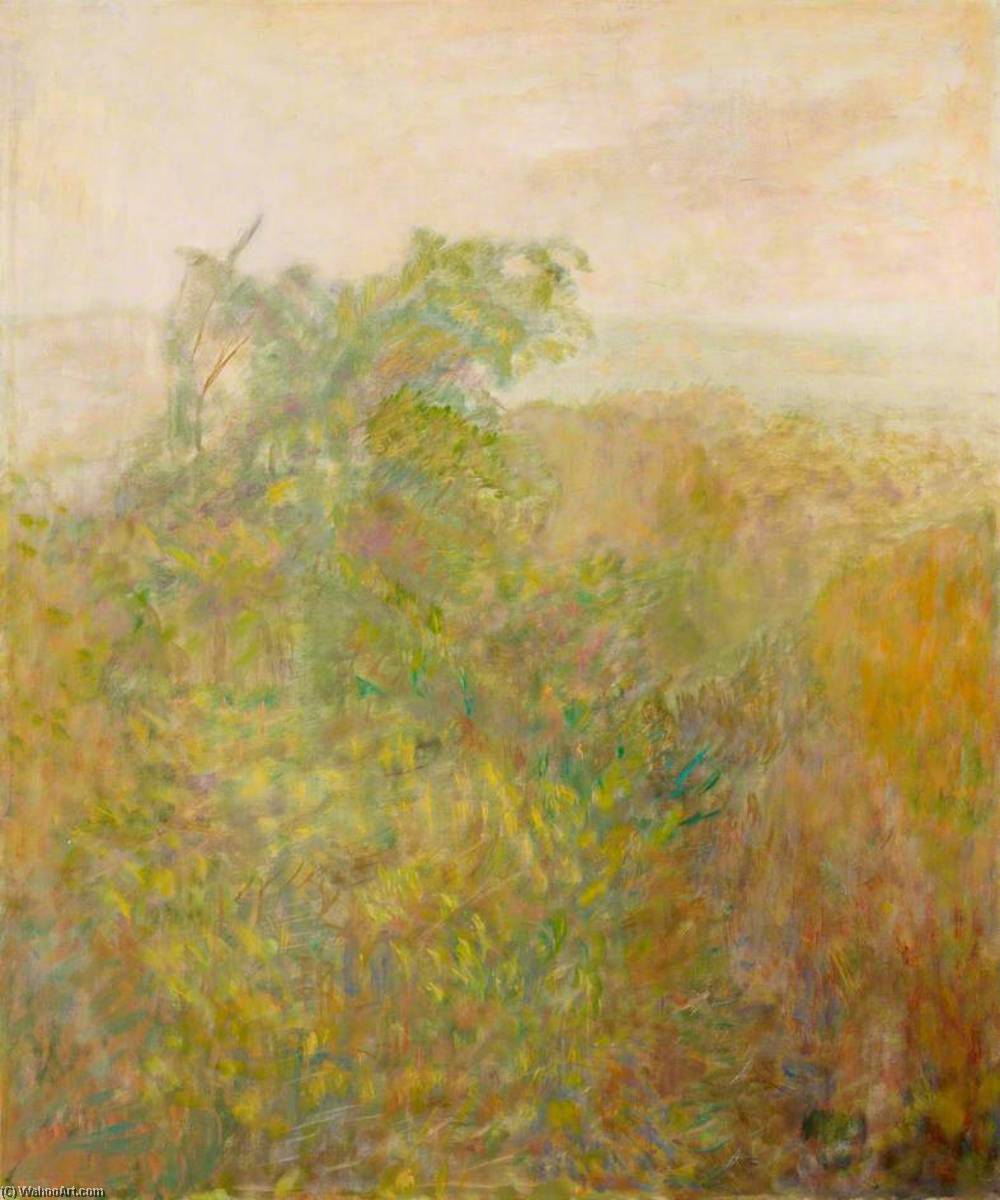 Beech Tree — Adrian Durham Stokes