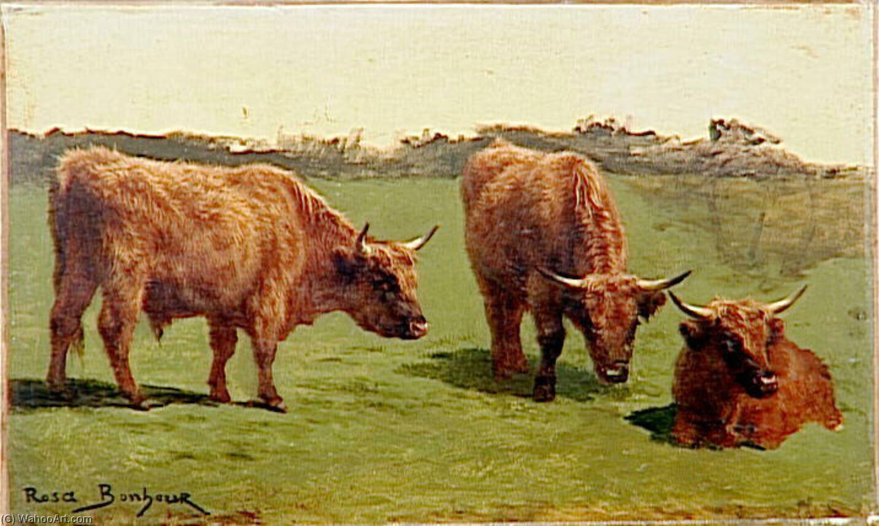Trois Études D'un Boeuf Roux Dans Un Pré — Bonheur Marie Rosalie