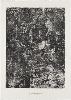 Soil Growth (développement Au Sol) From The Portfolio Expanses, Partitions (etendues, Parois) From Phenomena (les Phénomènes) — Jean Philippe Arthur Dubuffet