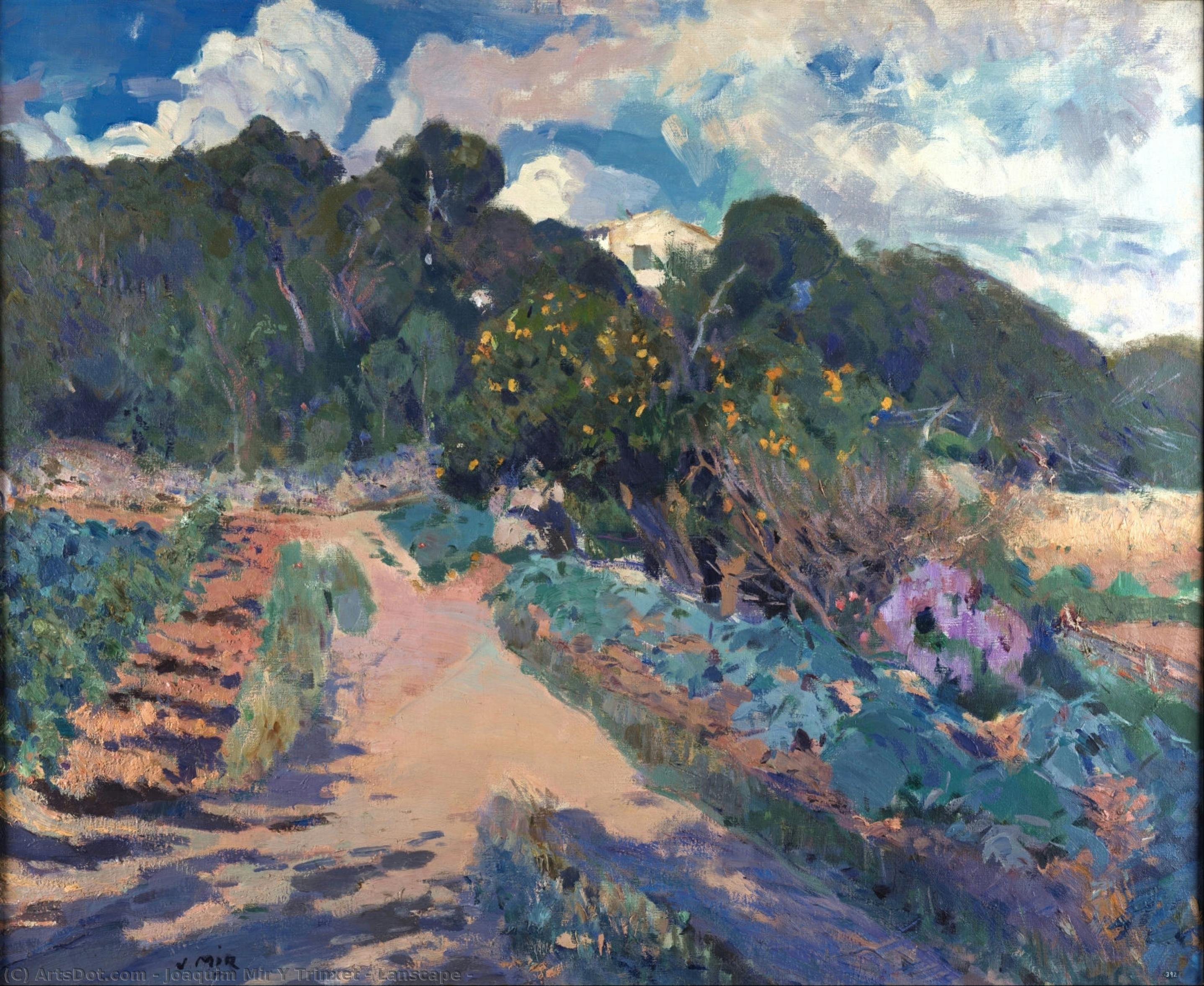 Lanscape — Joaquim Mir