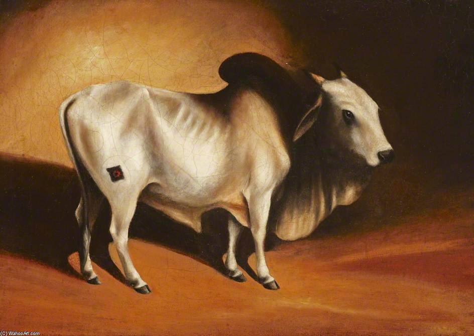A Brahminy Bull — ジョージ・チナリー