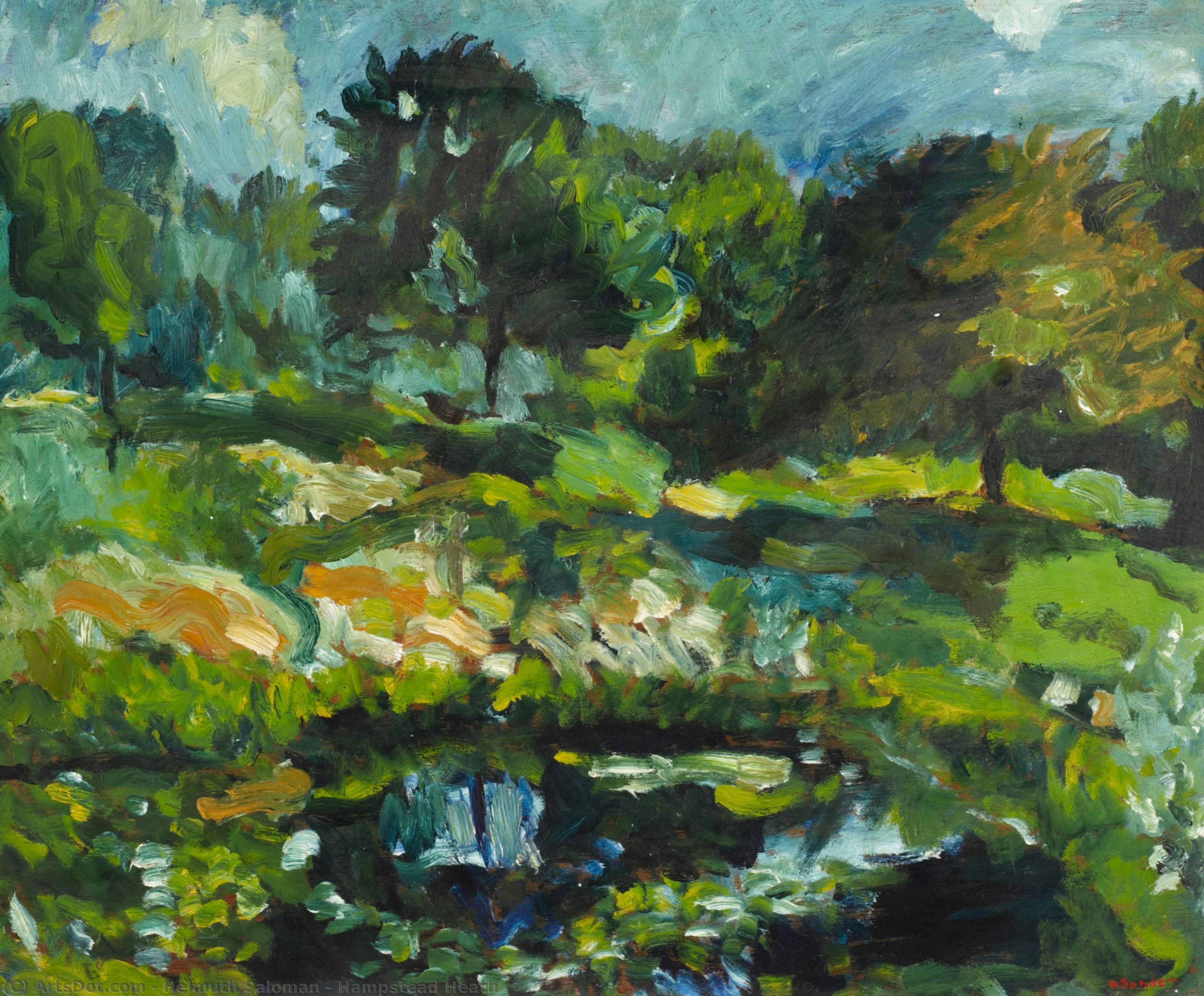 Hampstead Heath — Helmuth Saloman