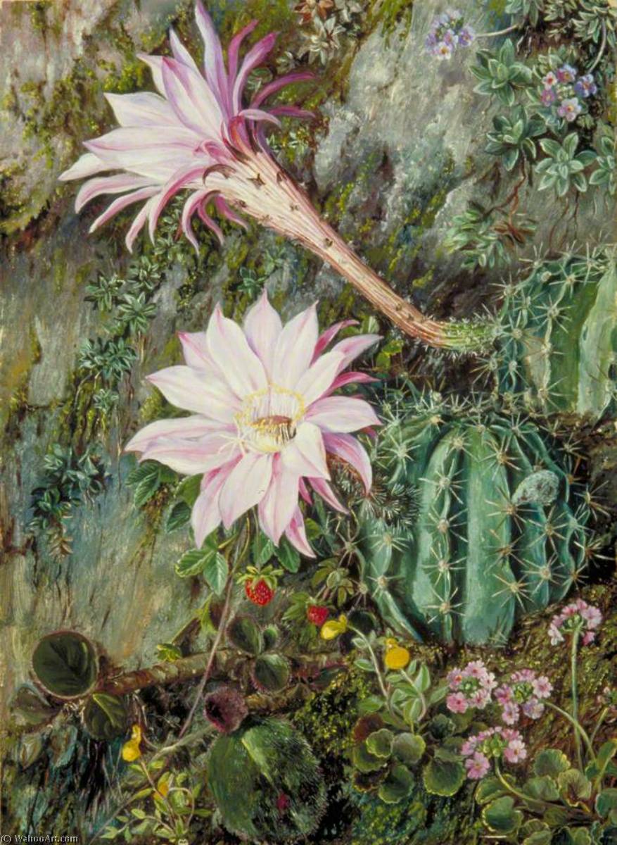 Wild Flowers Of Mussooree, India — Marianne North