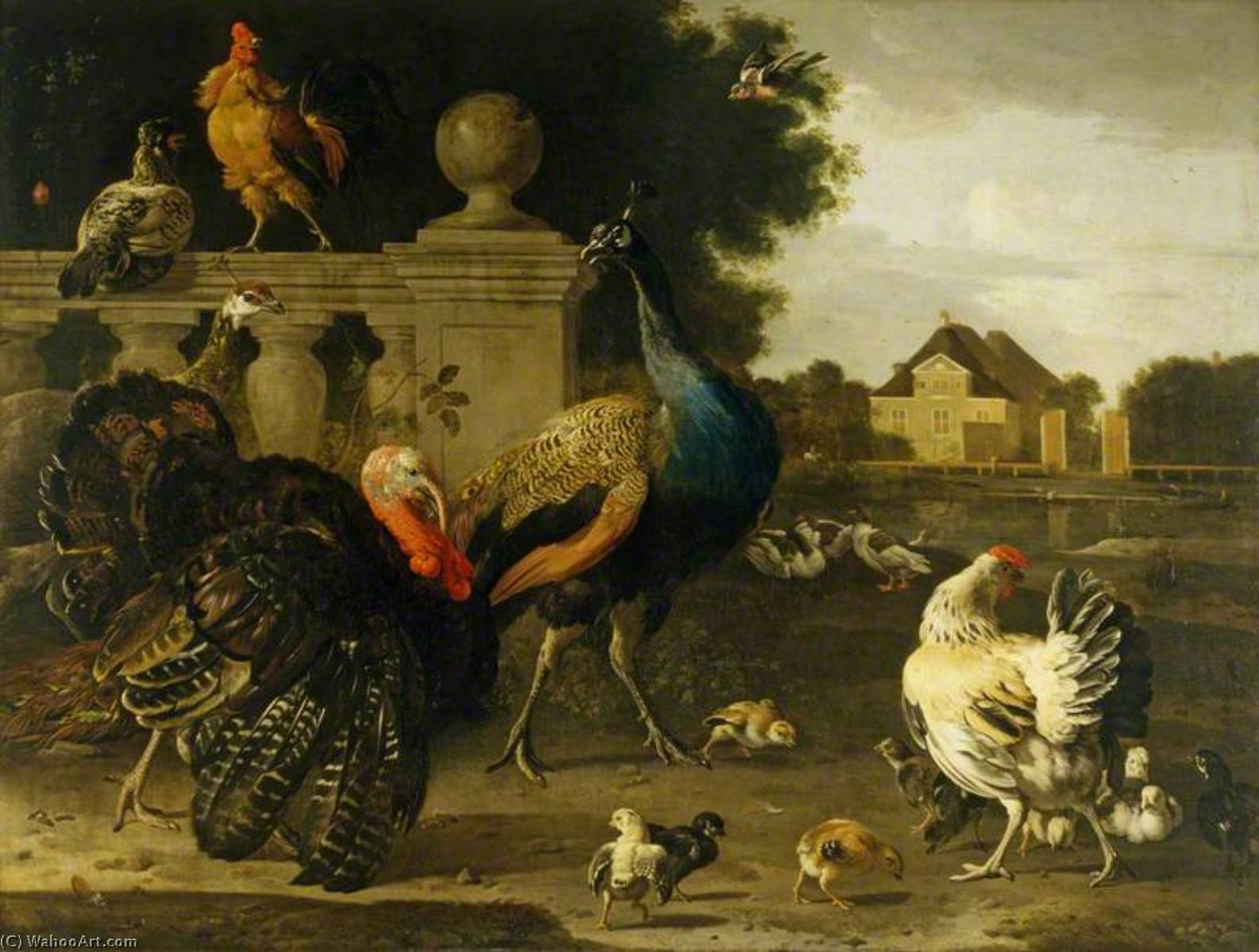 A Turkey Cock And Other Birds In A Garden — Melchior De Hondecoetter