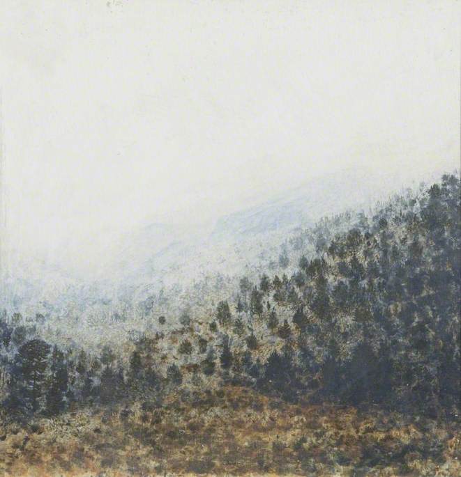 Rothiemurchus, Inverness — Andrew Scott George