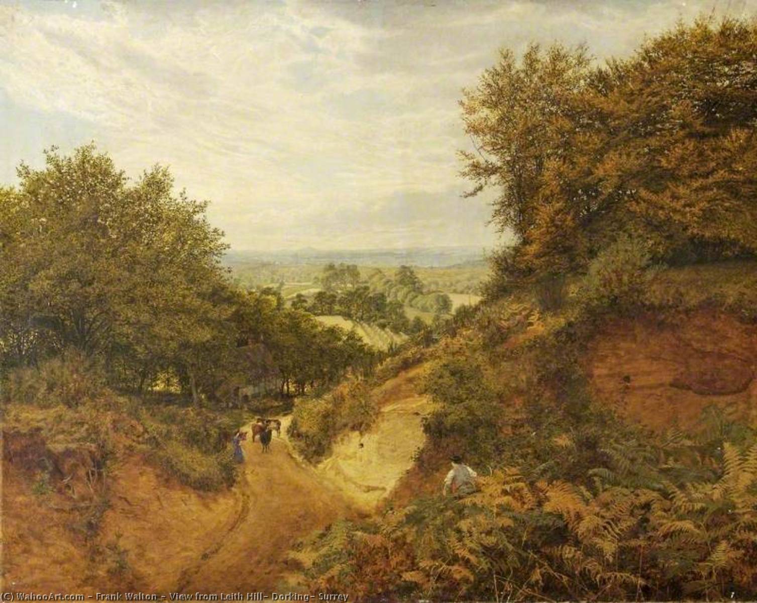 View From Leith Hill, Dorking, Surrey — Frank Walton