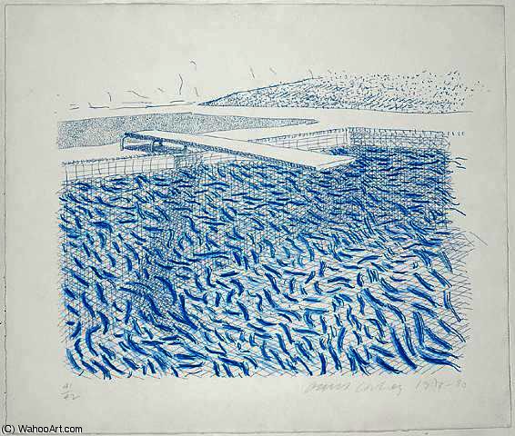 Lithographic Water Made Of Lines And Crayon — David Hockney