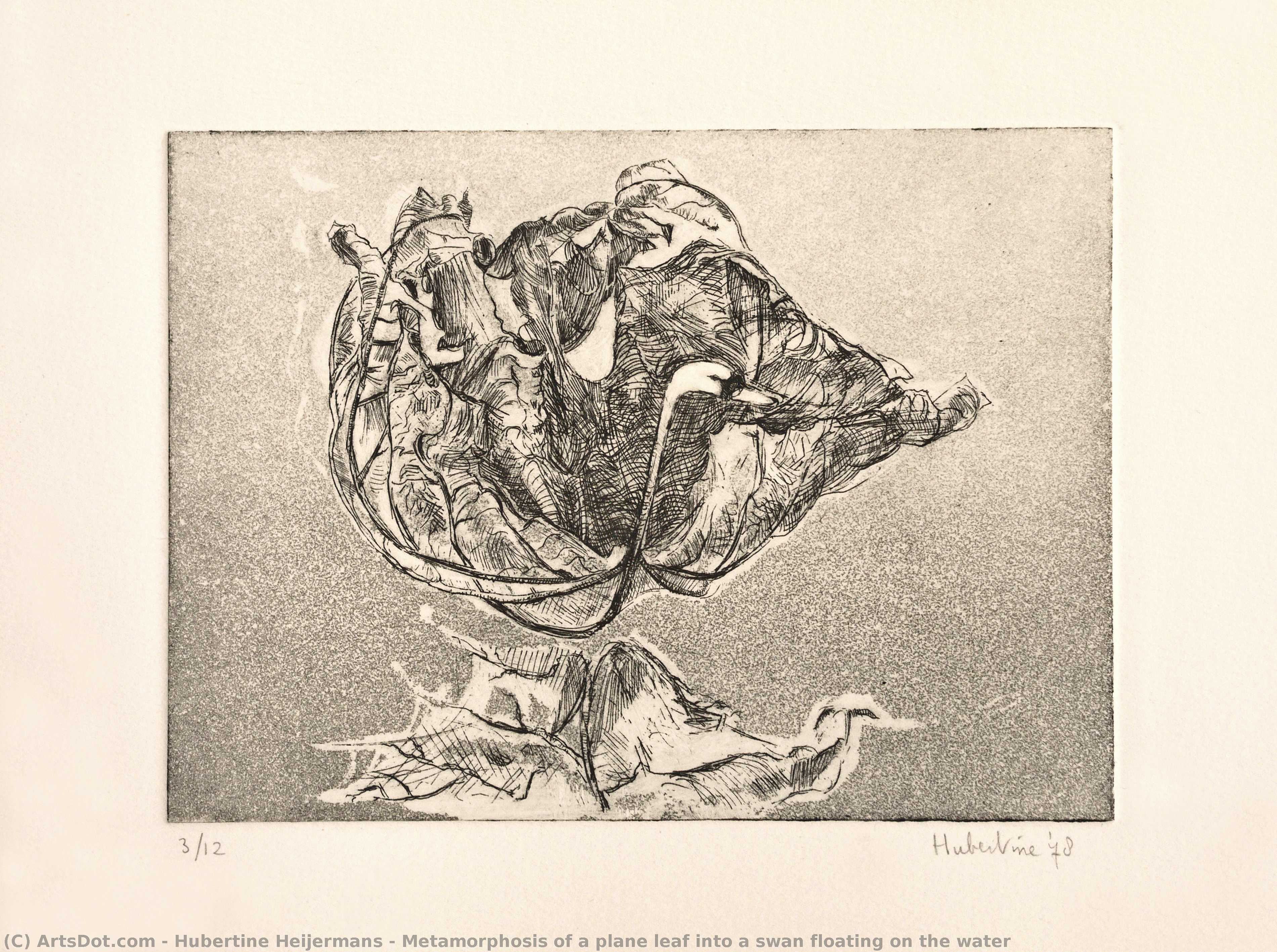 Metamorphosis Of A Plane Leaf Into A Swan Floating On The Water — Hubertine Heijermans