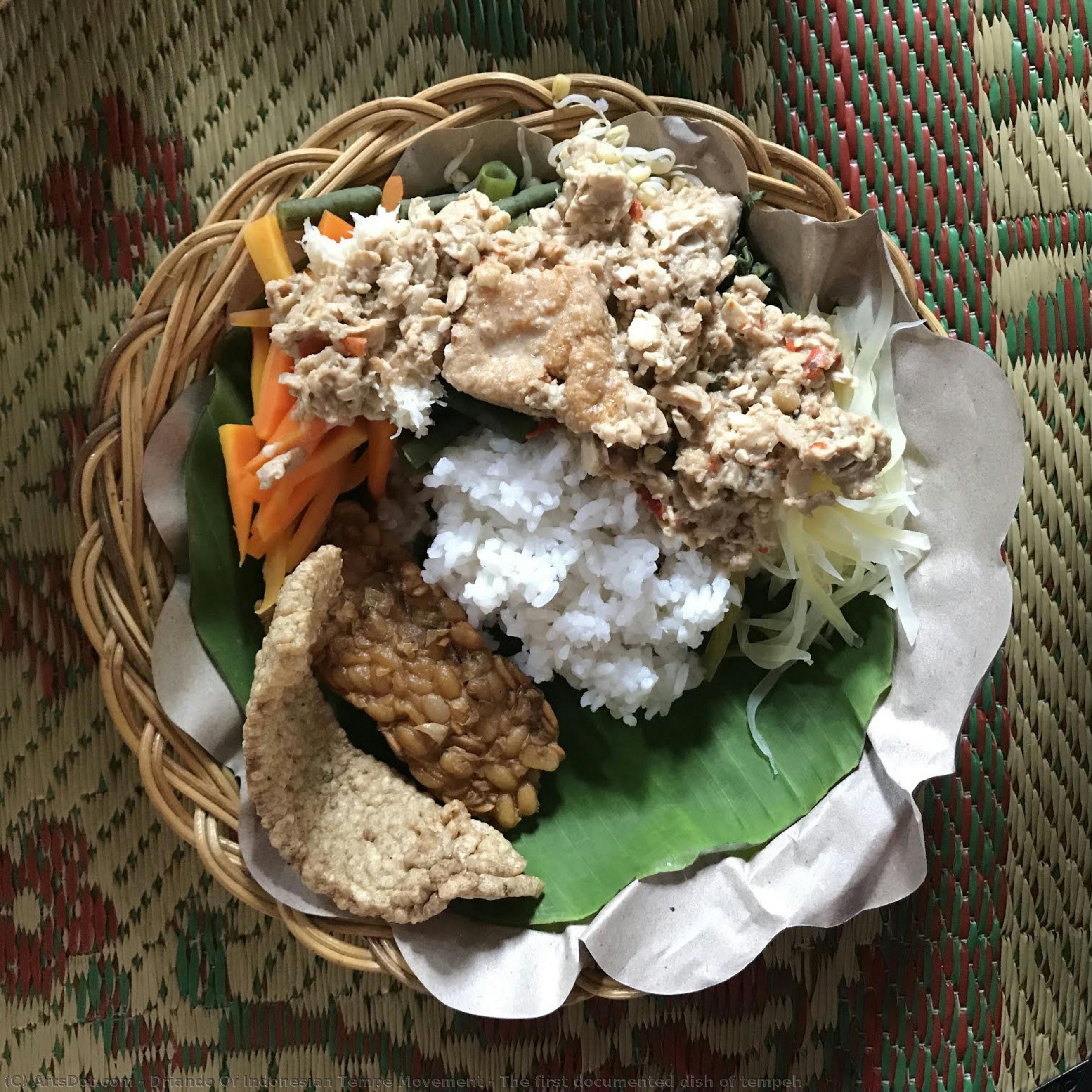 The First Documented Dish Of Tempeh — Driando Von Der Indonesischen Tempe-bewegung
