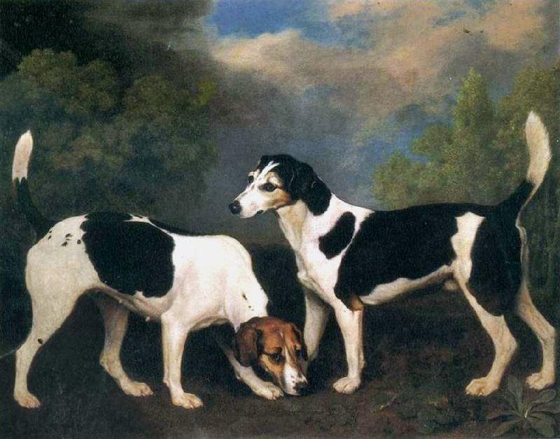 A Couple Of Foxhounds — Džordž Stabs