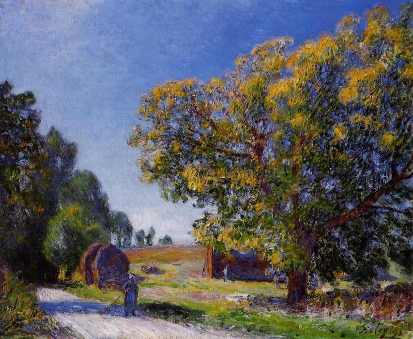 Fields Around The Forest — Alfrēd Sislē