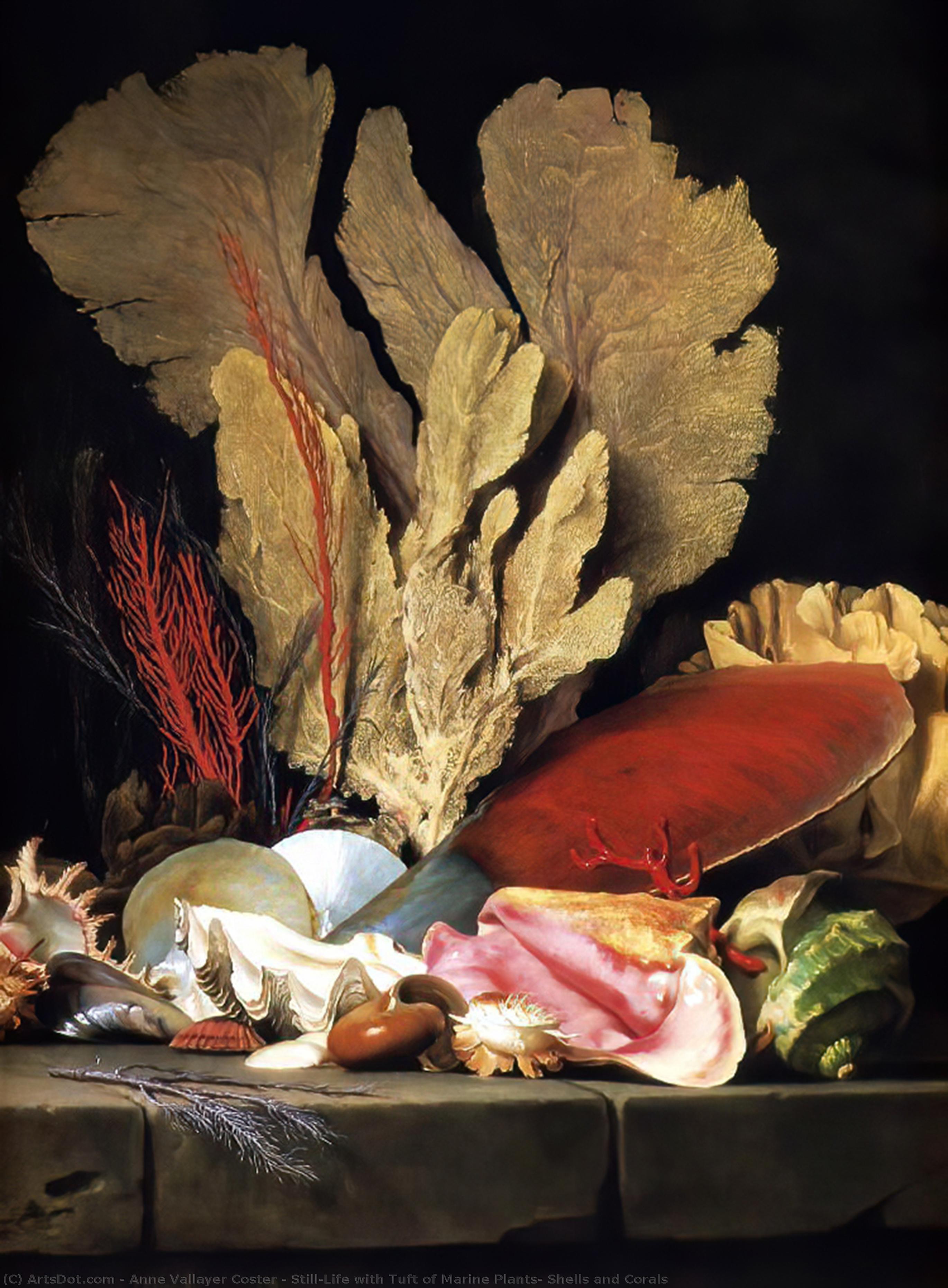 Stillleben Mit Büschel Von Meerespflanzen, Muscheln Und Korallen — Anne Vallayer-coster