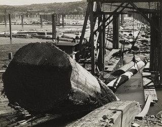 Logs Coming Up Conveyor Into Mill, Longview, Washington — Arthur Rothstein