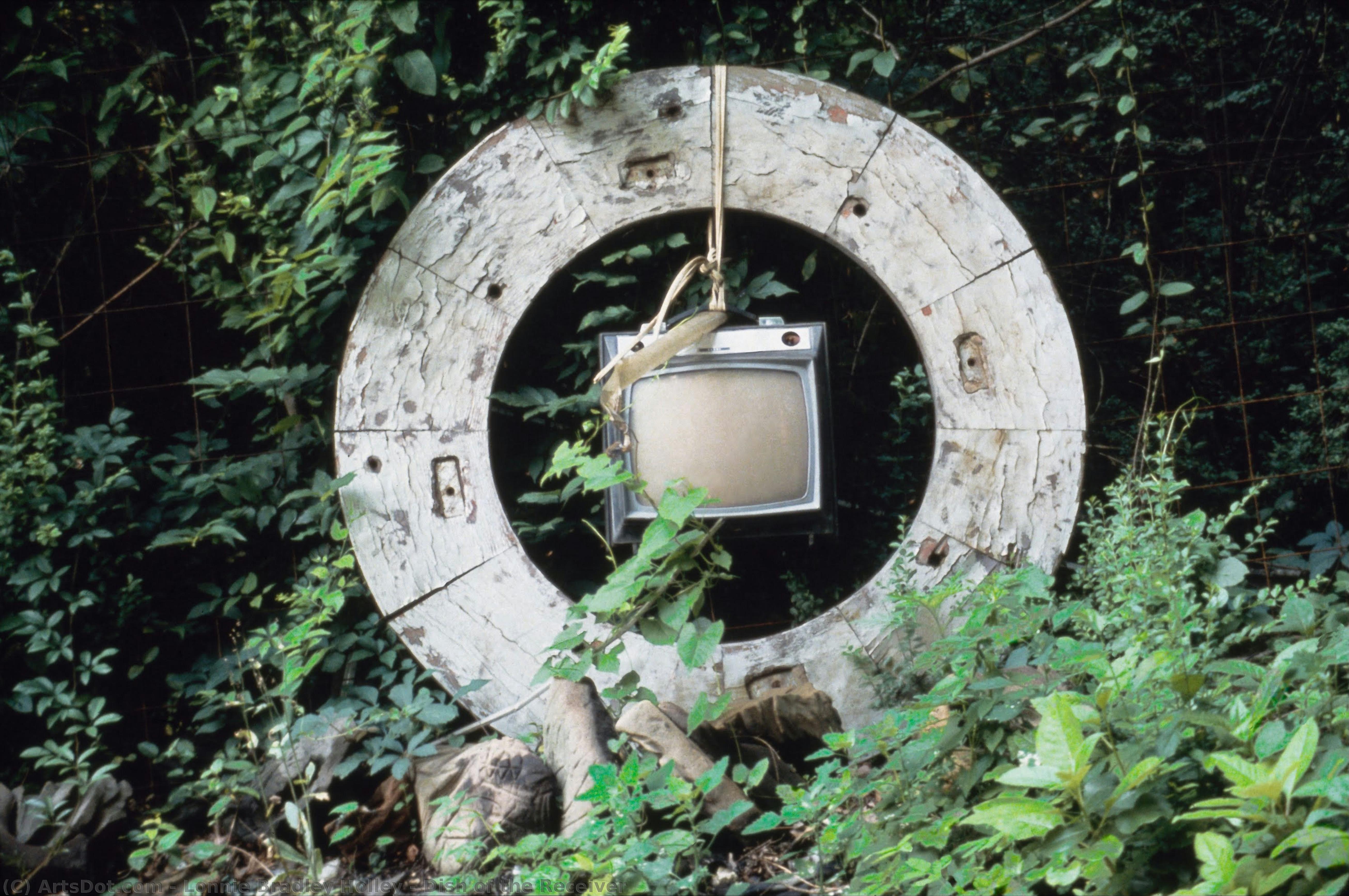 Dish Of The Receiver — ロニー・ホリー