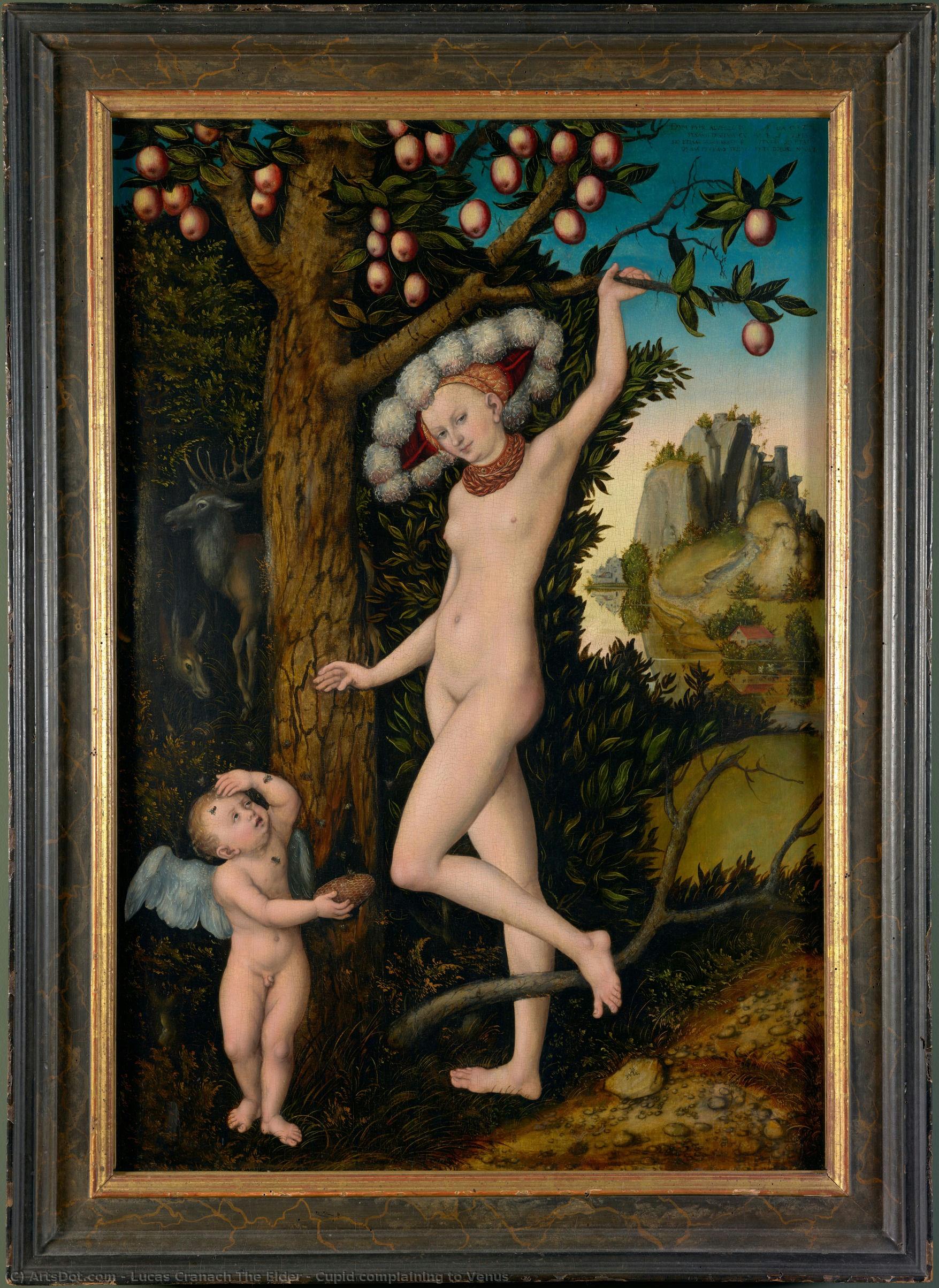 Cupid Que Se Lamenta A Venus — Lucas Cranach El Viejo