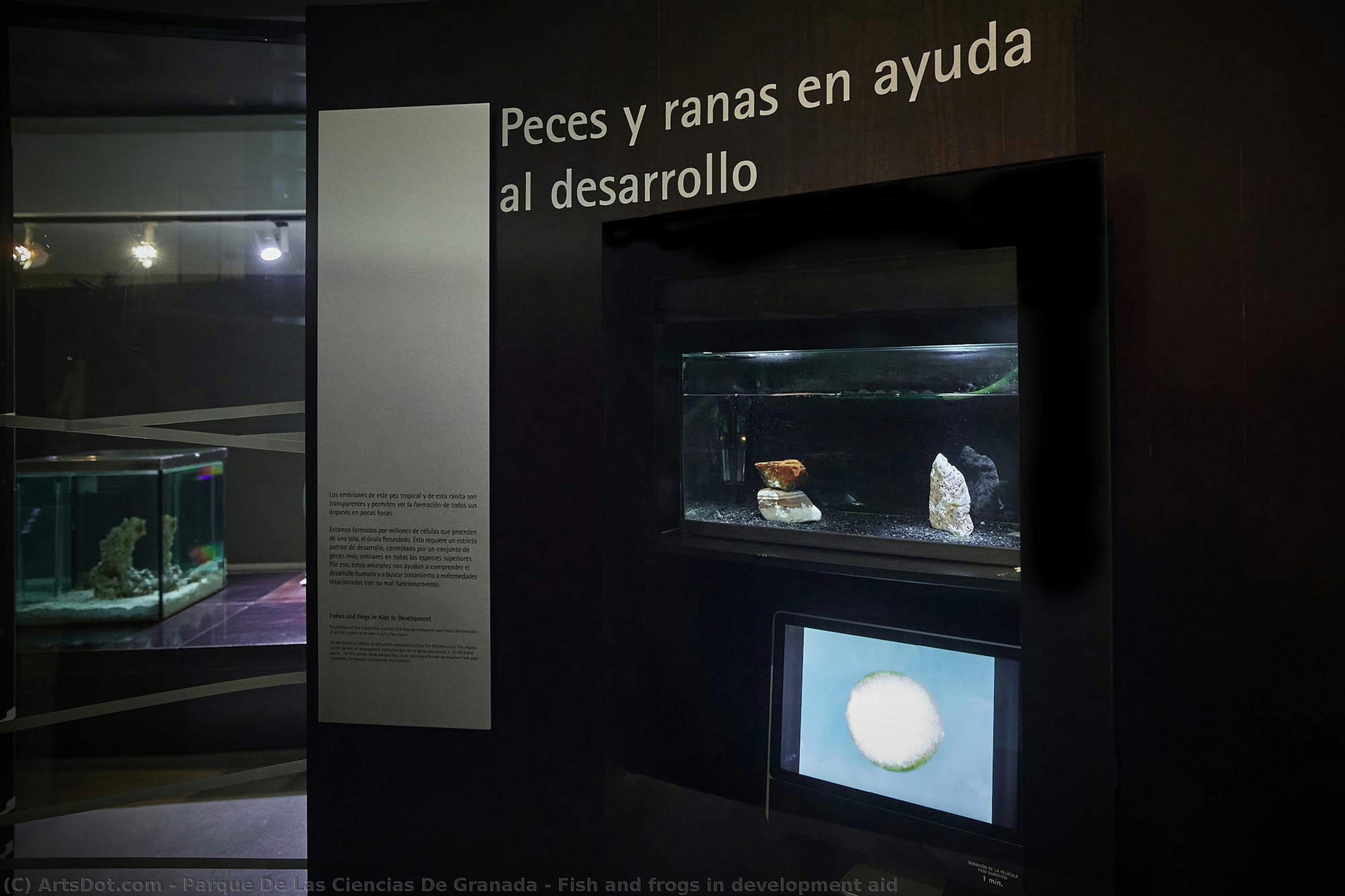 Fish And Frogs In Development Aid — Parque De Las Ciencias De Granada